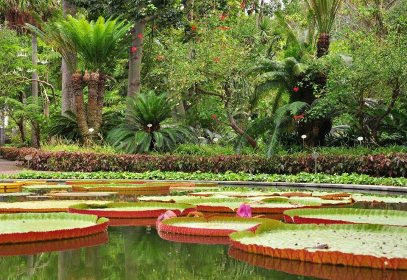 Botanical Garden, Spain